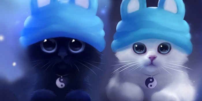 1440x900 50+] Free Cat Wallpapers and Screensavers on WallpaperSafari