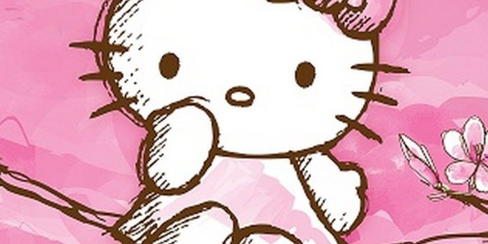 1080x1920 21 Cute Hello Kitty Cell Phone Wallpapers - Wallpaperboat