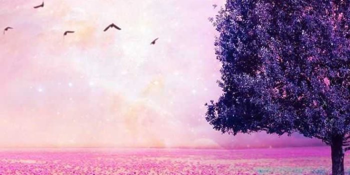 736x1308 Beautiful Wallpaper - iXpap