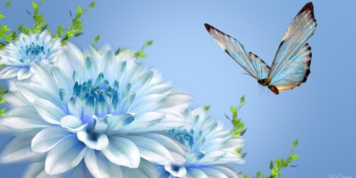 1920x1080 Beautiful Butterfly Wallpapers - Top Free Beautiful Butterfly Backgrounds -  WallpaperAccess