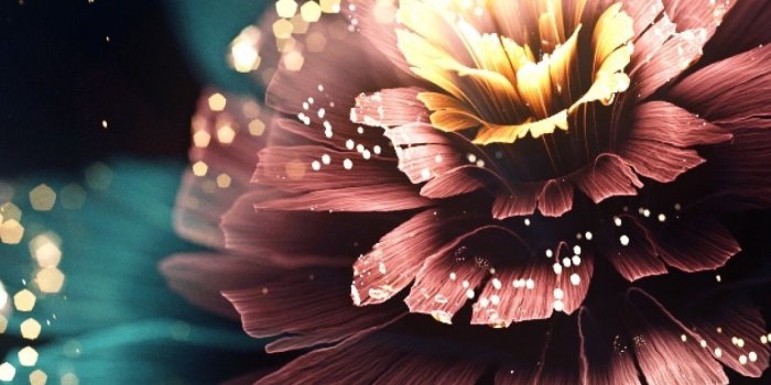 1154x2048 HD iPhone wallpaper | Flower phone wallpaper, Beautiful wallpapers, Flower  wallpaper