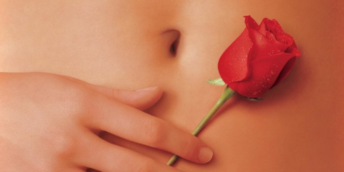 1920x1080 American Beauty HD Wallpapers | Background Images