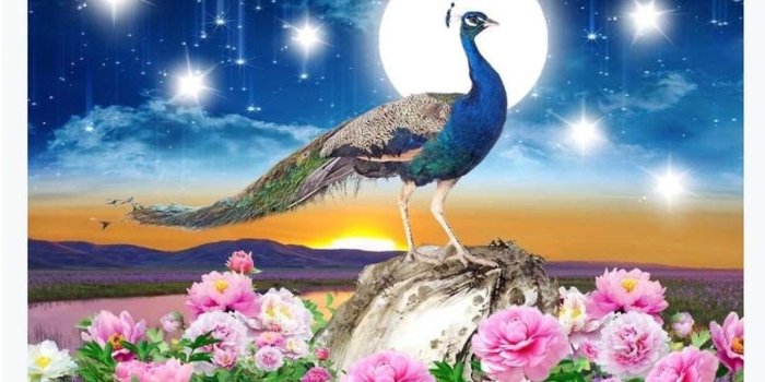 1306x1005 God Bird Peacock Photo Wallpaper - Super Beautiful Fantasy Starry Sky Wall  Mural,Wallpaper for Kids Room Living Room Decor (47x39inch) - - Amazon.com