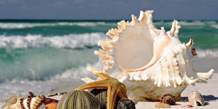 1920x1080 Beauty Wallpapers Nature 1080p