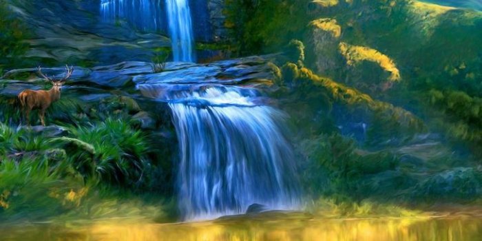 728x1294 Wallpaper HD: Nature, Wallpaper, For, Android, Beautiful, Nature, Android,  Wallpapers, Wallpaper | esquilo.io