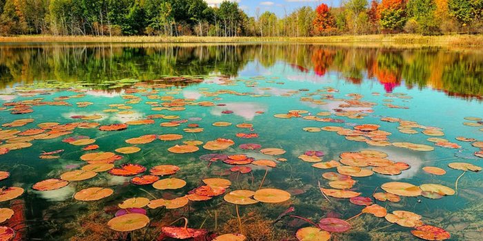 1600x1200 Beautiful Desktop Wallpapers Of Nature Group - Natural Beauty Desktop  Wallpaper Hd (#138270) - HD Wallpaper & Backgrounds Download