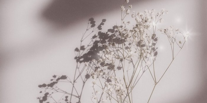 800x1422 Wallpaper | Free Beautiful HD iPhone, Samsung & Mobile Phone Images -  rawpixel