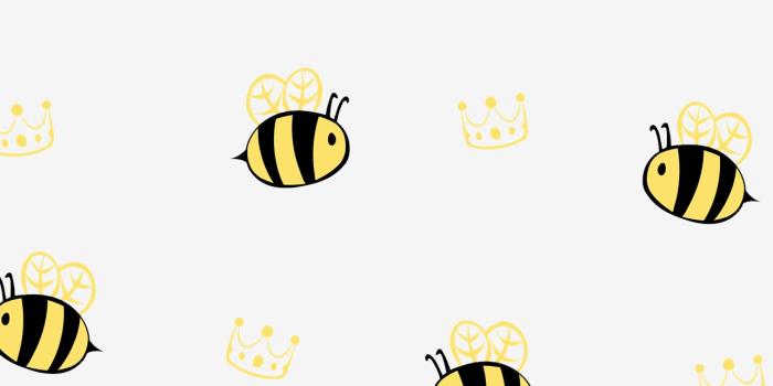 1284x2778 honey bee iPhone Wallpapers Free Download