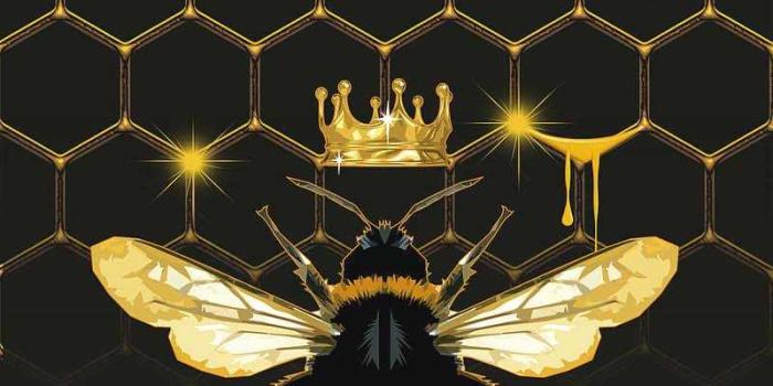 800x1422 Bee Wallpaper | WhatsPaper