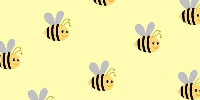 1280x1280 Wallpaper, Bee, And Yellow Image - Wallpaper - 1280x1280 Wallpaper -  teahub.io