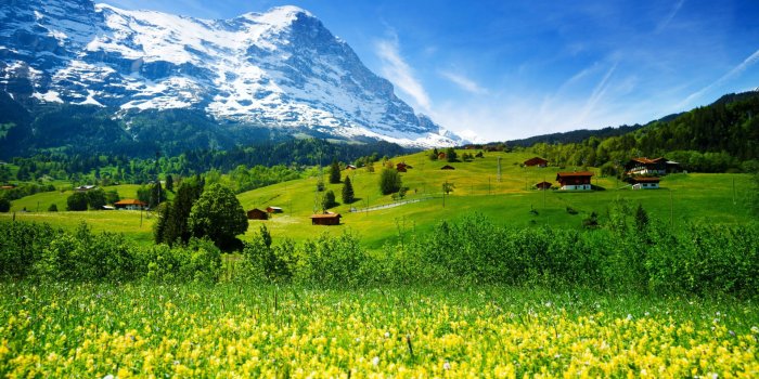 1920x1080 Wallpaper Switzerland, 5k, 4k wallpaper, mountains, meadows, wildflowers,  Nature #5296 | Landscape wallpaper, Green landscape, Mountain landscape