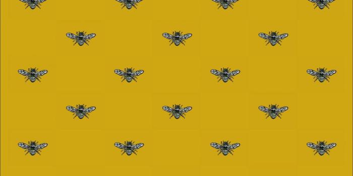 1080x1956 ✓[50+] Bee HD Wallpapers (Desktop Background / Android / iPhone) (1080p,  4k) (3000x5432) (2022)