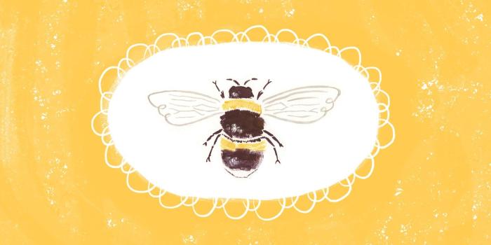 1800x1152 Bee Computer Wallpapers - Top Free Bee Computer Backgrounds -  WallpaperAccess