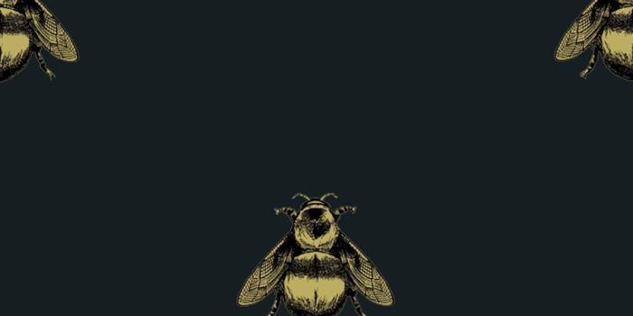 1200x1798 50+] Napoleon Bee Wallpaper on WallpaperSafari