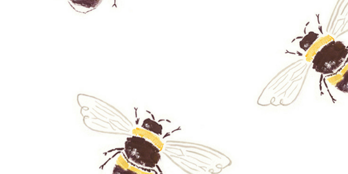 1080x1920 Bee iPhone wallpaper | Free iphone wallpaper, Iphone background wallpaper,  Cute wallpaper backgrounds