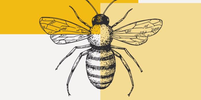 1226x2186 Aesthetic Bee Wallpaper Iphone (#3260334) - HD Wallpaper & Backgrounds  Download