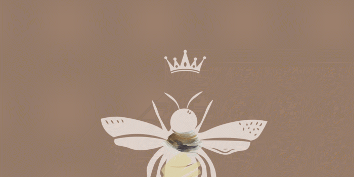 1242x2208 Bee iPhone Wallpapers - 4k, HD Bee iPhone Backgrounds on WallpaperBat