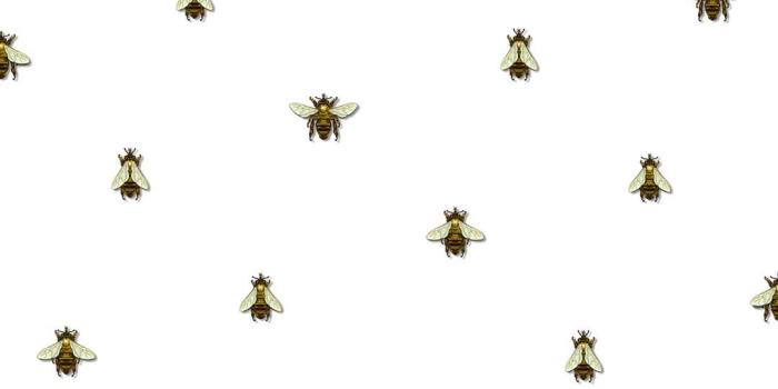1080x1618 Wild Honey Bee Spot wallpaper | Timorous Beasties