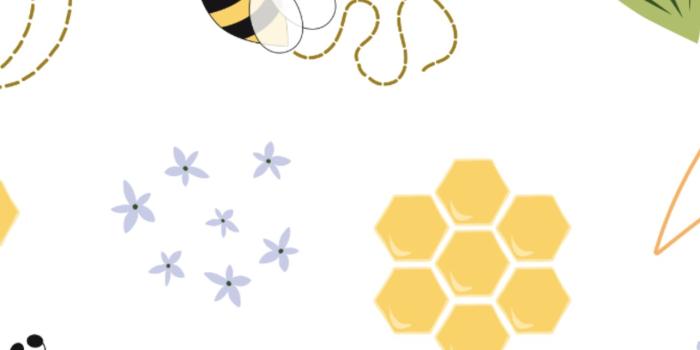 1284x2778 honey bee iPhone Wallpapers Free Download