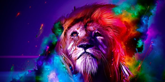 1920x1080 Creative Wallpaper 21087 1920x1080px