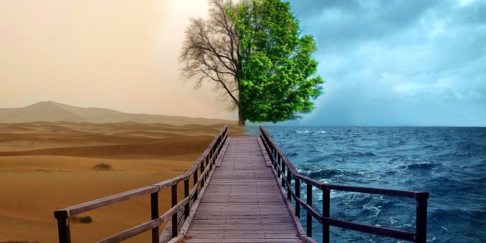1920x1200 Creative Nature Hd Wallpapers - Different Perspectives Of The World -  1920x1200 Wallpaper - teahub.io
