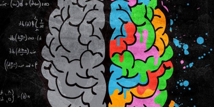 900x1600 Creative Brain IPhone Wallpaper - IPhone Wallpapers : iPhone Wallpapers