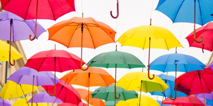 3840x5570 60,000+ Best Bright Photos · 100% Free Download · Pexels Stock Photos