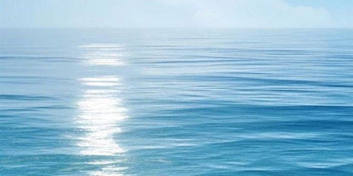 736x1308 Bright Wallpapers HD For Mobile