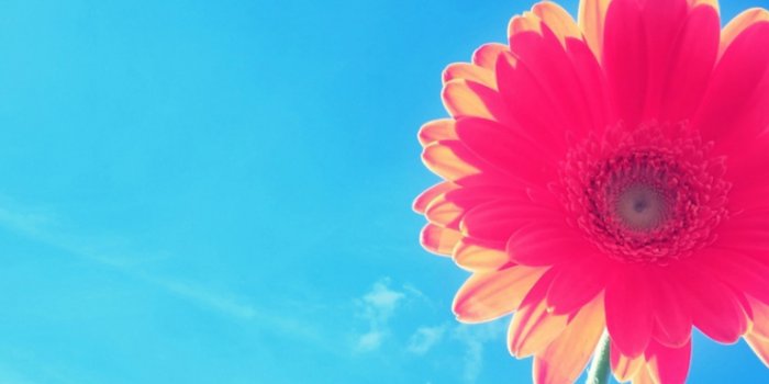 768x1024 Free download HD Bright Wallpaper Download [1920x1080] for your Desktop,  Mobile & Tablet | Explore 72+ Bright Wallpaper | Bright Floral Wallpaper,  Wallpaper UK, Wallpaper Direct