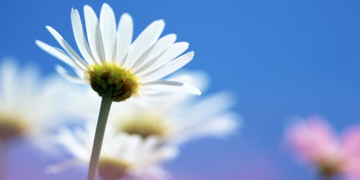 1280x1024 45+] HD Bright Wallpapers on WallpaperSafari