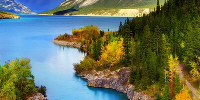 720x1280 50 Bright Phone Wallpaper Hd Backgrounds For Andriod (#890255) - HD  Wallpaper & Backgrounds Download