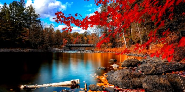 1504x846 Desktop Wallpapers Hd 3d Full Screen Nature Desktop - Desktop 4k - 1504x846  Wallpaper - teahub.io