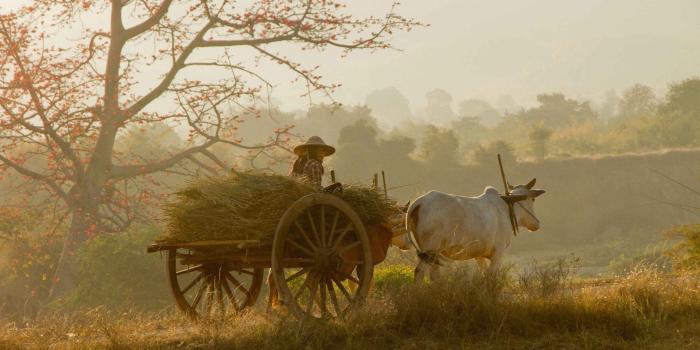 1920x1200 Village Life Wallpapers