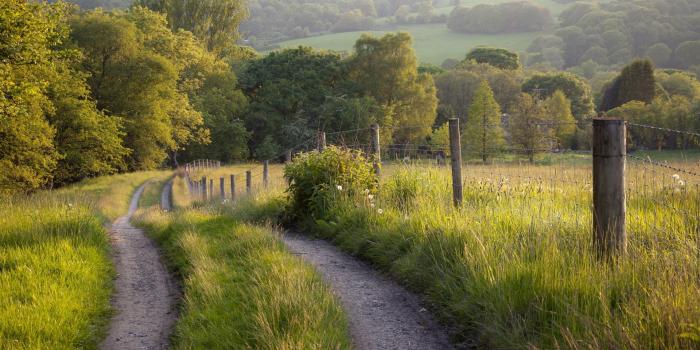 1920x1200 Village Road Beautiful Nature HD Wallpapers