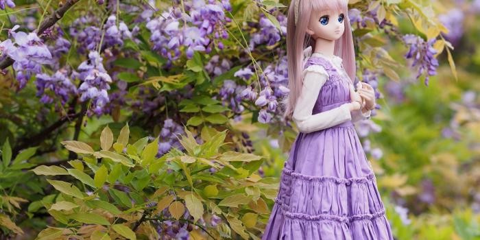 1680x1050 Toy Doll Wallpaper 42322 1680x1050px