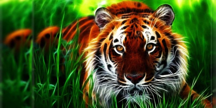 1920x1080 46+] Desktop Wallpaper HD Full Screen on WallpaperSafari