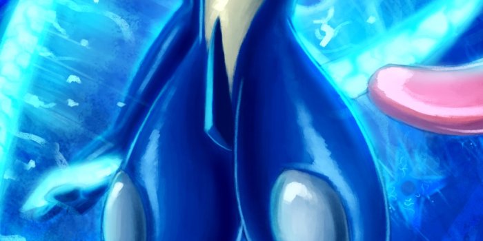 1284x2778 greninja hd iPhone Wallpapers Free Download