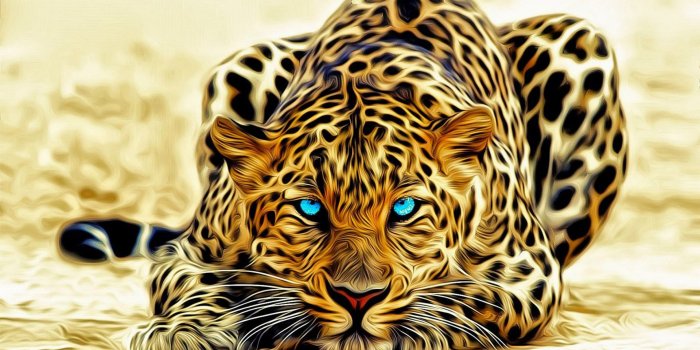 1920x1080 Download running cheetah live wallpaper HD - Wallpapers Book - Your #1  Source for free download HD, 4K & high quality wallpapers
