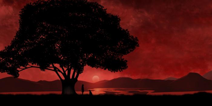 2560x1600 Anime Red Sunset & Tree wallpapers | Anime Red Sunset & Tree stock photos