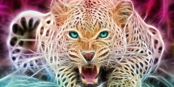 1920x1200 Cheetah wallpapers - Nuforms Design