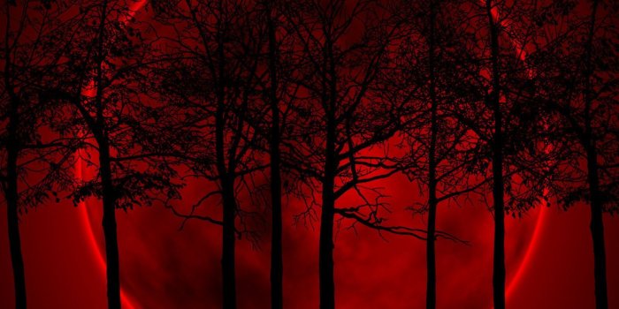 1600x1200 Black Red Hd Backgrounds - Blood Red Moon - 1600x1200 Wallpaper - teahub.io