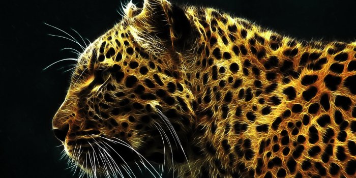 1920x1080 Cheetah wallpaper | 1920x1080 | #35866