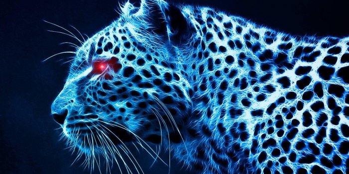 1920x1080 Neon Cheetah Wallpapers - Top Free Neon Cheetah Backgrounds -  WallpaperAccess