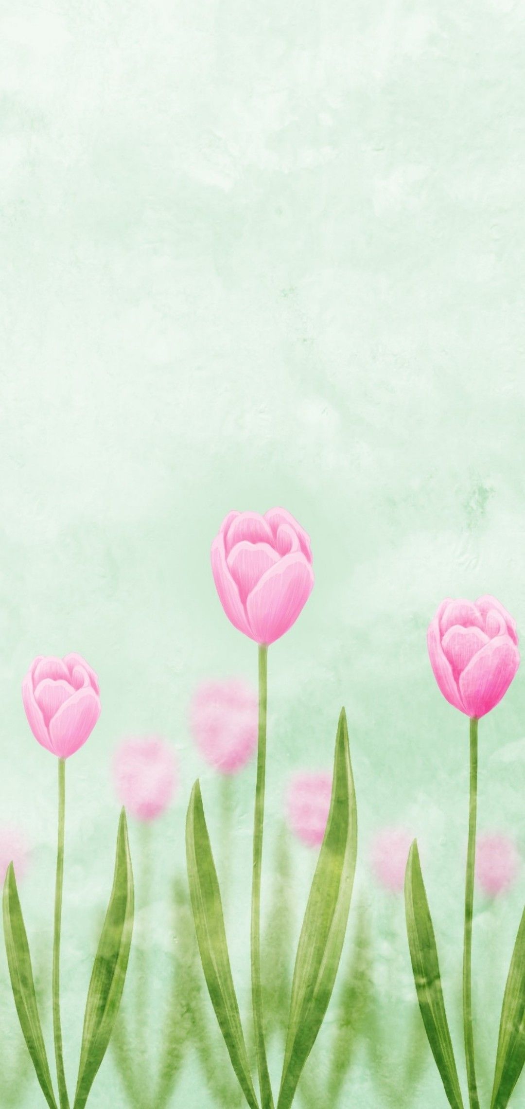 1080x2280 75 Tulip Wallpaper ideas | tulips, beautiful flowers, flowers