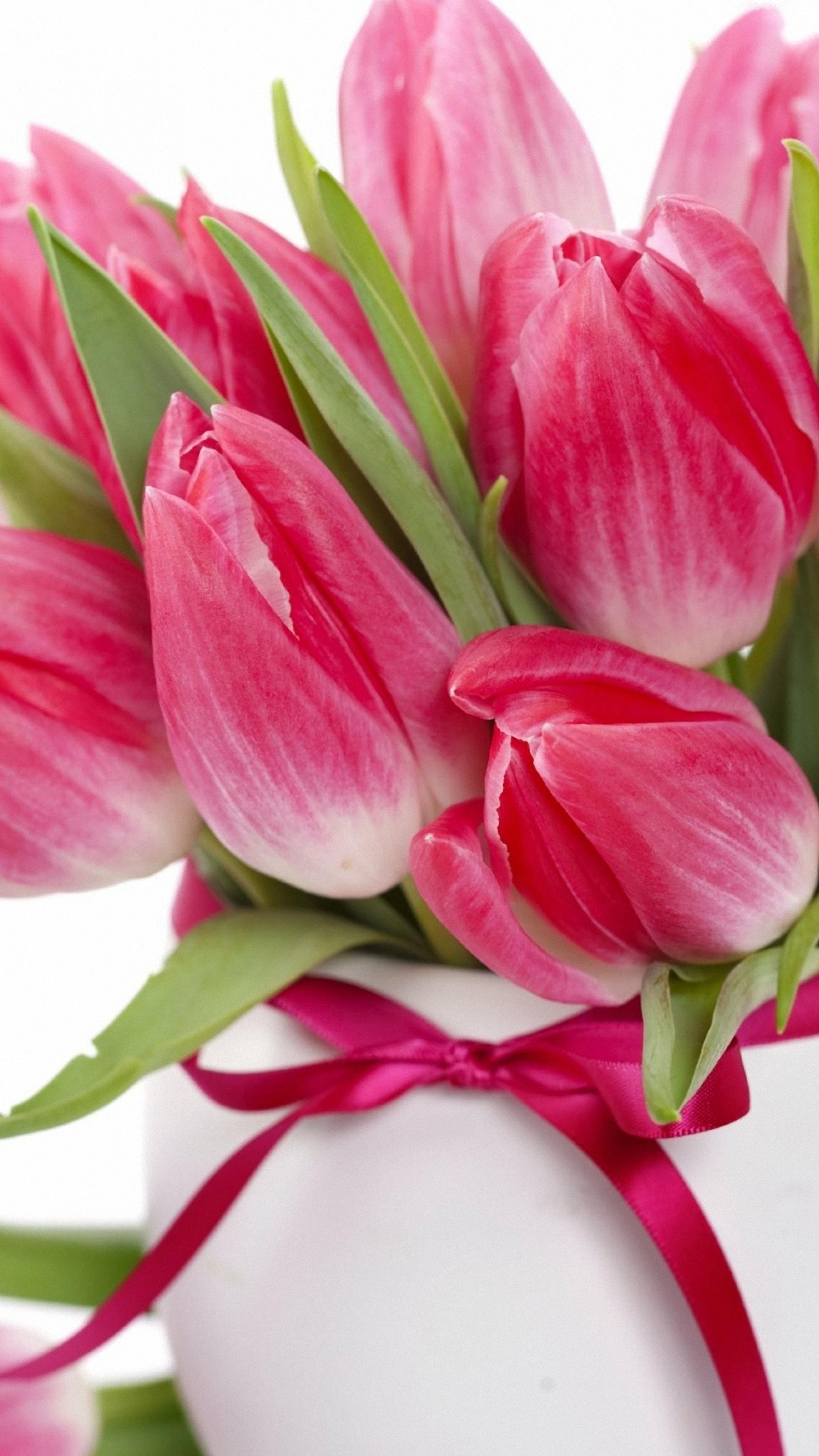 1440x2560 Hd Tulip Wallpapers For Mobile (#1062139) - HD Wallpaper & Backgrounds  Download
