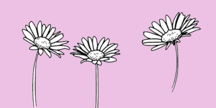 1080x1920 virgos ☿ on Twitter: 