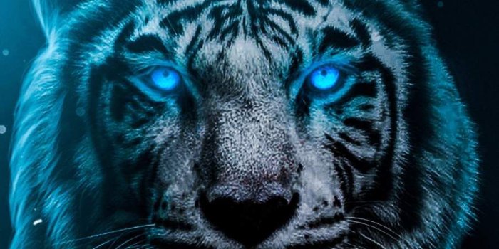 900x1600 Blue Eyes Lion iPhone Wallpaper | Tiger spirit animal, Tiger wallpaper  iphone, Tiger pictures