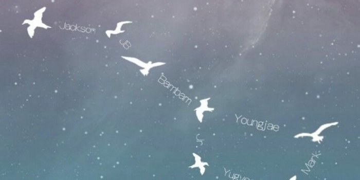 1080x2051 ✓[3055+] kpop wallpaper. Kpop Background iPhones - Android / iPhone HD  Wallpaper Background Download (png / jpg) (2022)