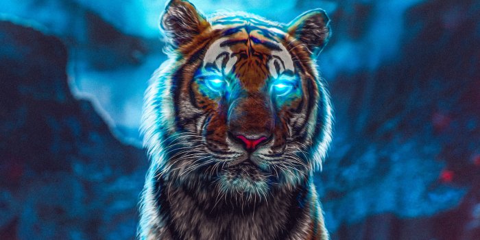 1920x1080 Tiger Wallpapers - Top 35 High Quality Tiger Backgrounds Download