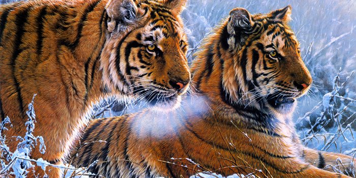 3840x2160 Tigers Oil paint 4K Wallpapers | Wallpapers HD